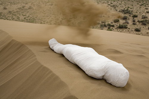 Minoosh Zomorodinia Destruction of Nature Destruction of the Human Being, Iran Maranjab 2008