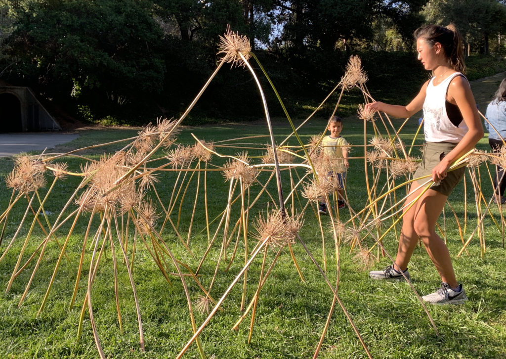 Creating with dried agapanthus flowers at a public art-making event in Berkeley, California, 2019