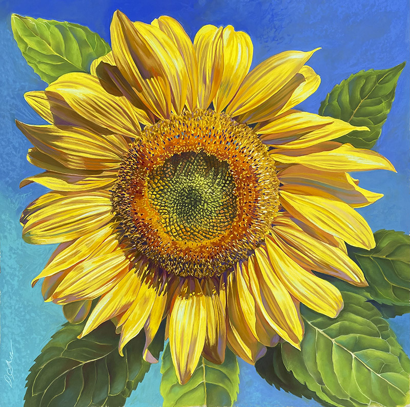 Hey Sunshine, pastel on board by Deb Shea